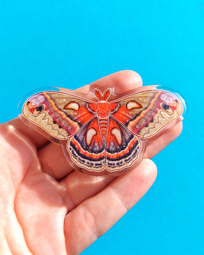 Moth Acrylic Hair Clips