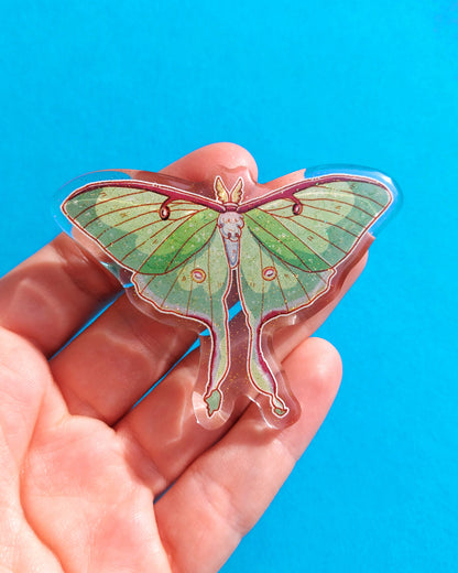 Moth Acrylic Hair Clips