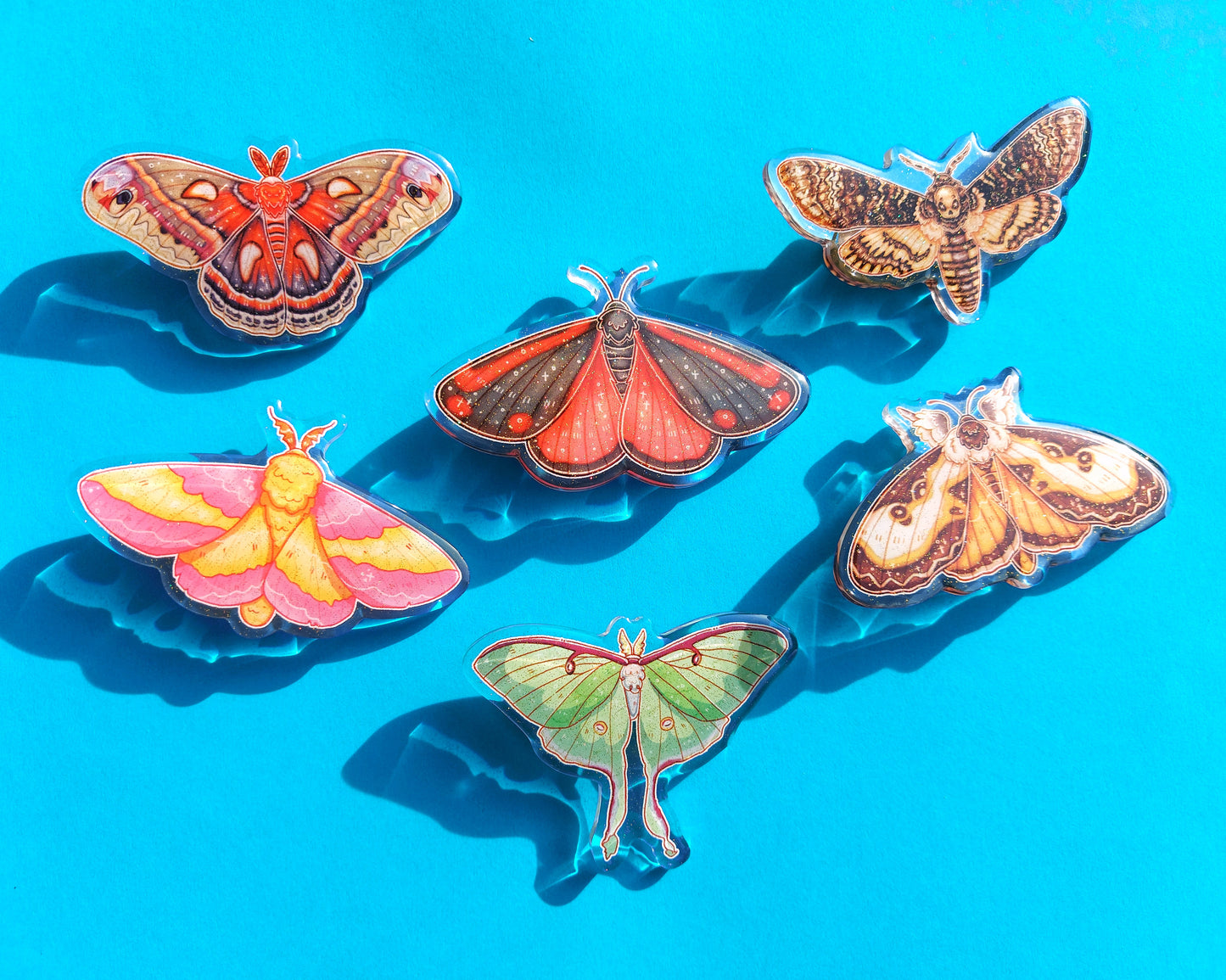 Moth Acrylic Hair Clips