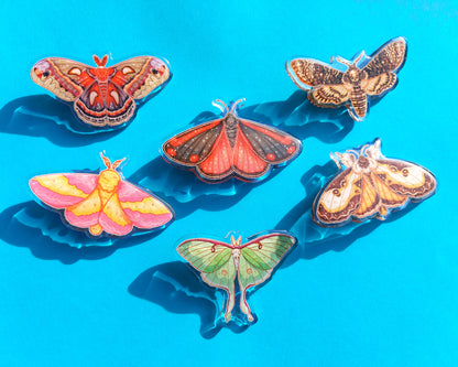 Moth Acrylic Hair Clips