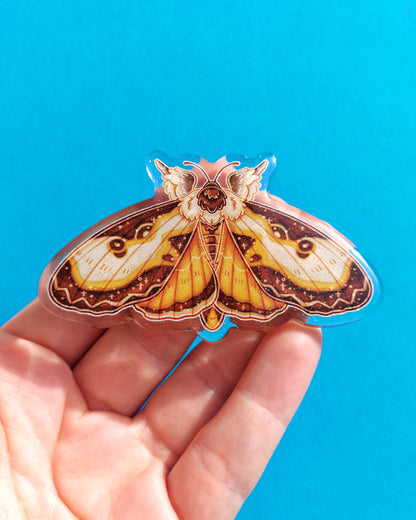 Moth Acrylic Hair Clips